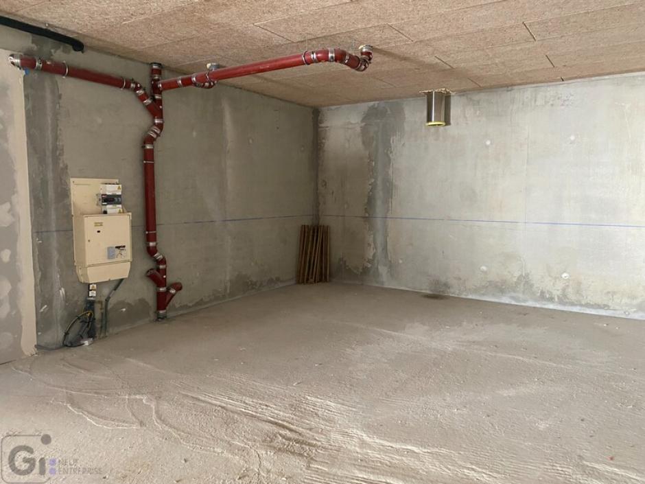 Vente commerce saint-alban-leysse